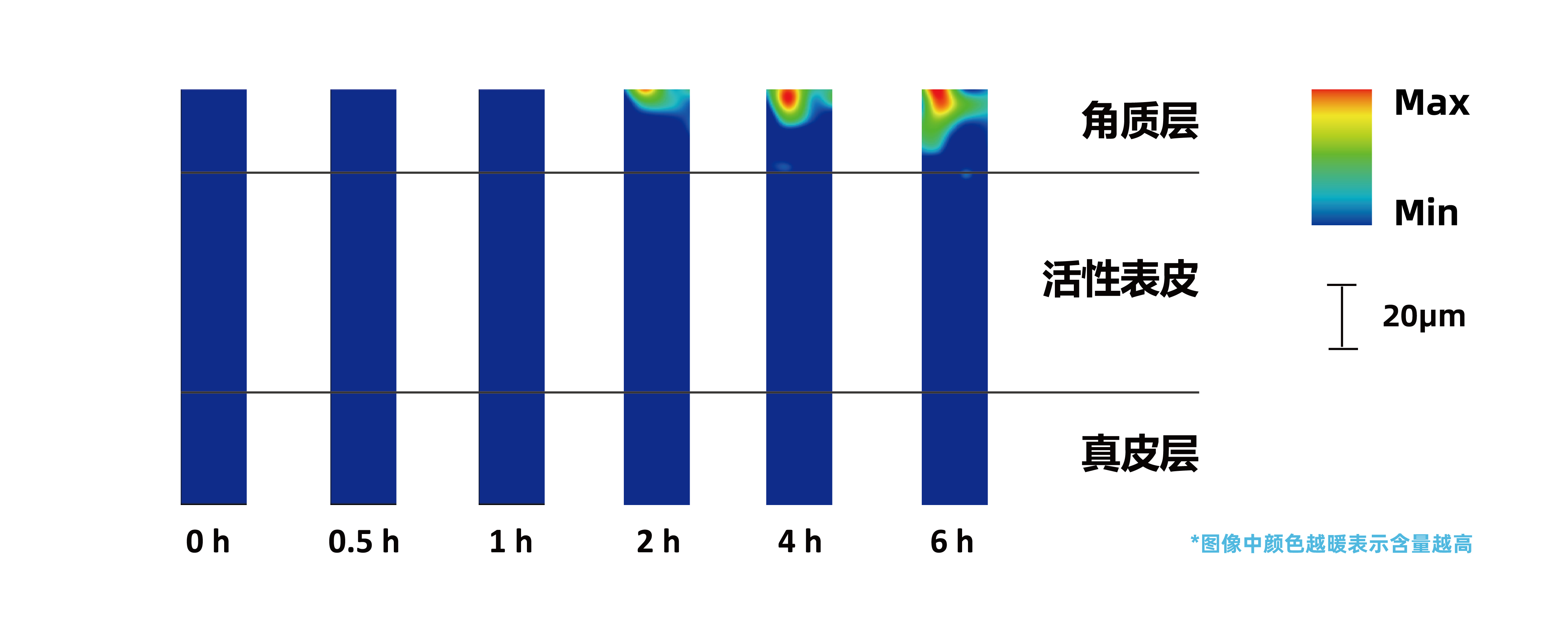 配图2.jpg