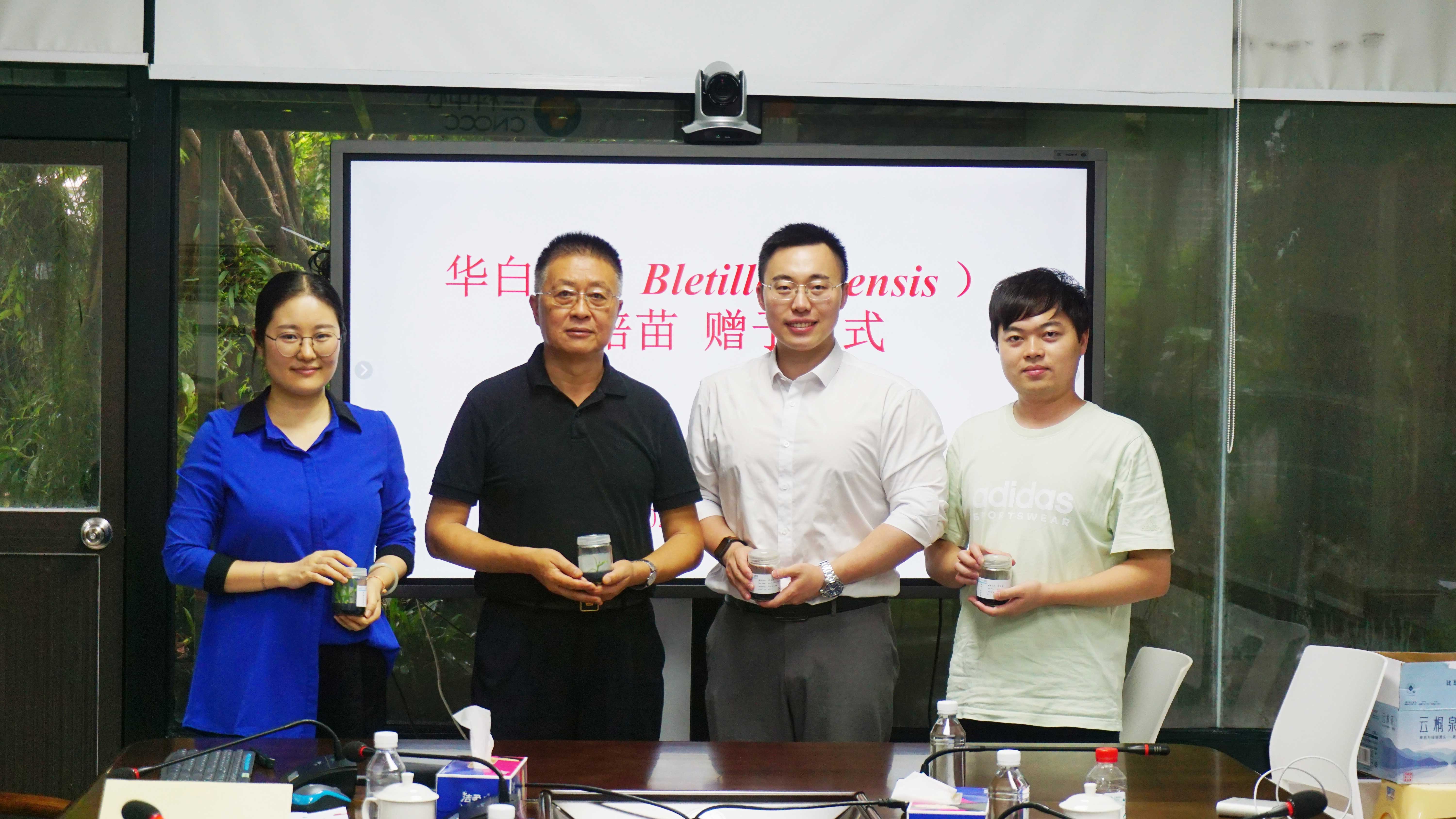 The Power of Plant Callus Culture | VEMINSYN Donates 30 Rare Cloned Seedlings of Bletilla sinensis to the National Orchid Conservation Center